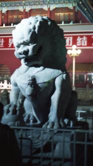 Forbidden City guard