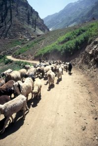 Kaghan Valley