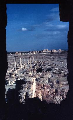 Palmyra